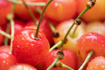 チェリーの香りが好きな方におすすめの香水｜魅惑的なチェリーフレグランス