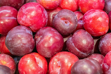 プラムの香りが好きな方におすすめの香水｜上品なプラムフレグランス