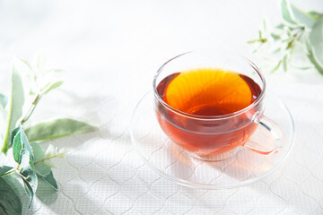 ルイボスティーの香りが好きな方におすすめの香水｜ウォーム&アースなルイボス