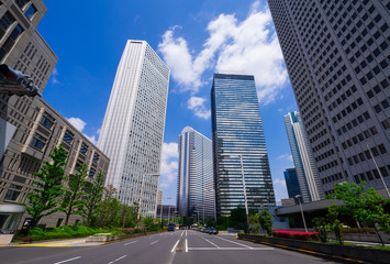 東京のおしゃれペットショップ15選｜オーガニックフード×ペットグッズ